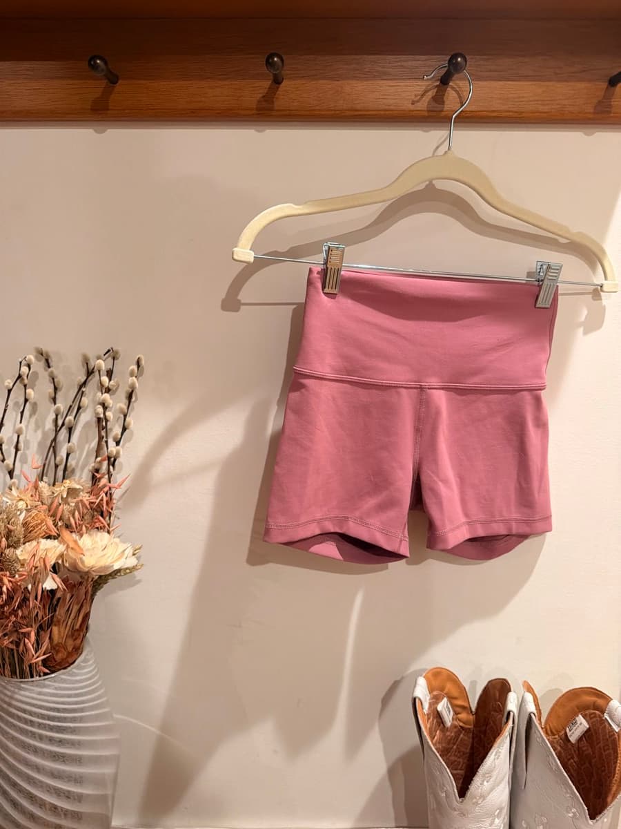 Wunder Train Short in Velvet Dust