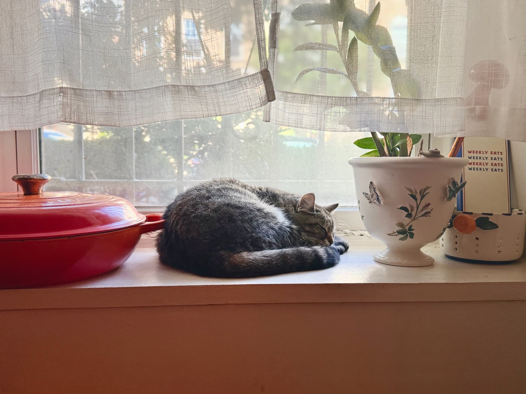 Home, Kalorama 2025 — 2