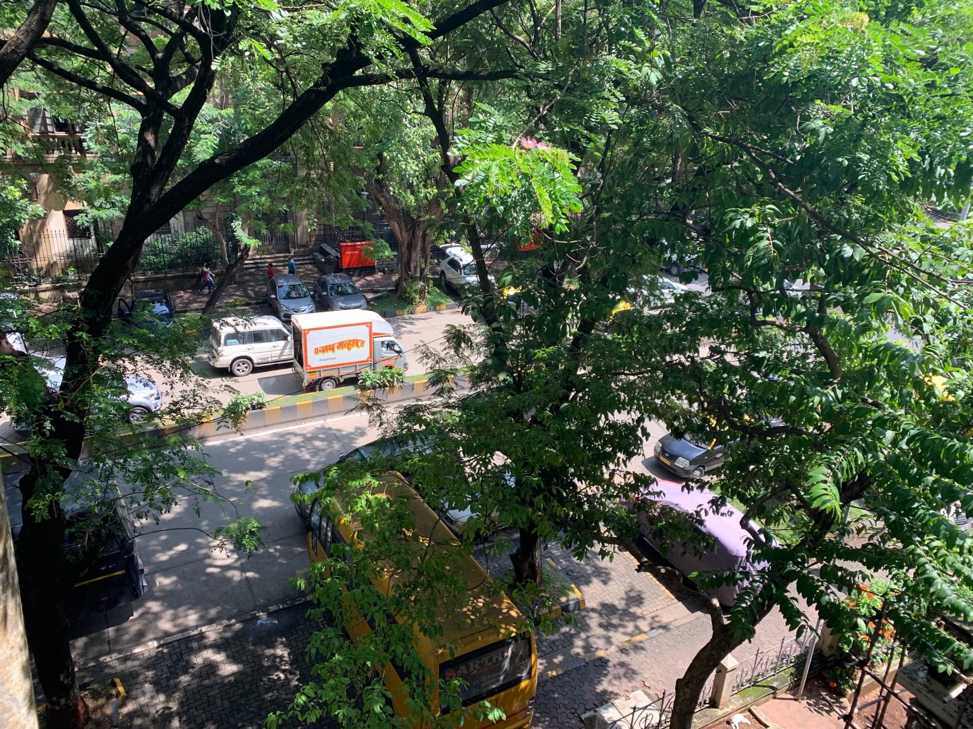 Leafy Tree-Lined Streets of Mumbai
