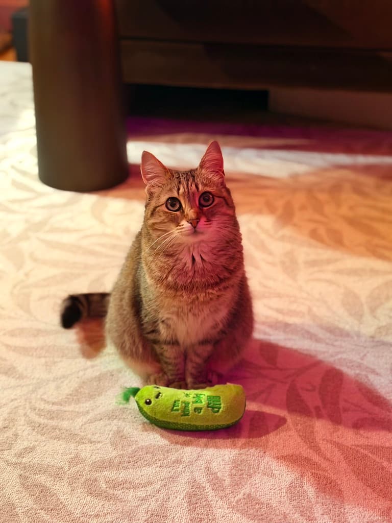Xiao sitting with her toy in warm bedroom light.